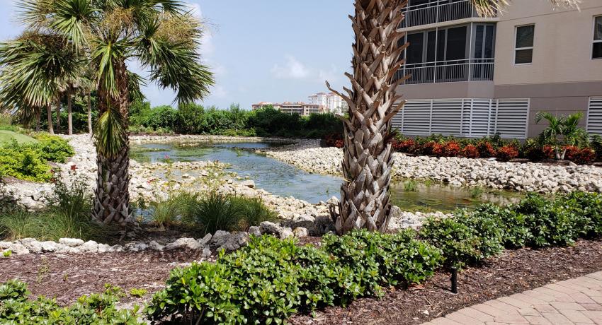 Royal Marco Point III exterior and palm trees