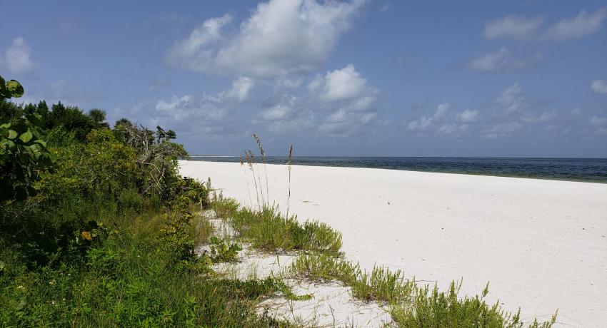 Royal Marco Point III beach