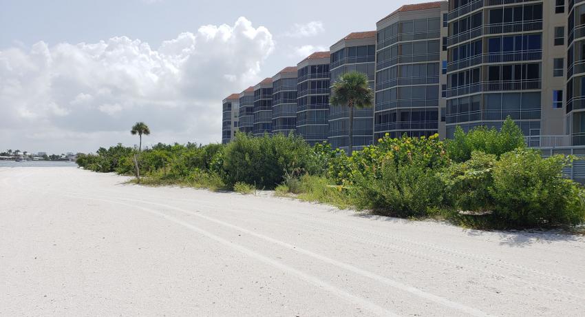 Royal Marco Point III building and beach